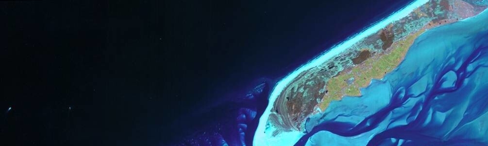 User banner image